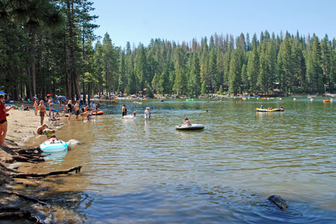 Pinecrest Lake Drowning: Undisclosed Man Dies in Tragic Water Incident as Son Watches Helplessly